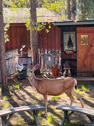 9128 Krashin Drive, Conifer, CO 80433