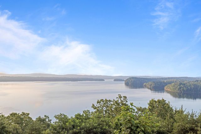 260 Lakeside Lodge Lane, Spring City, TN 37381