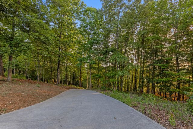 260 Lakeside Lodge Lane, Spring City, TN 37381