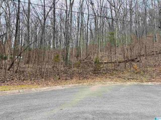 0 BEACON HILL DRIVE, Oxford, AL 35160