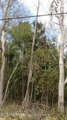 00 Pennsylvania Avenue, Rocky Point, NC 28457