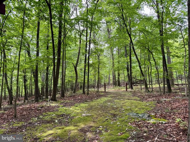 355 SANDSTONE LN, Berkeley Springs, WV 25411