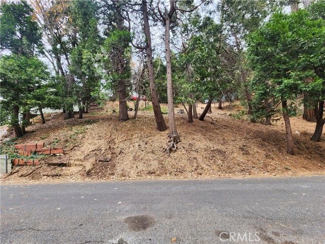 24397 Horst Drive, Crestline, CA 92325