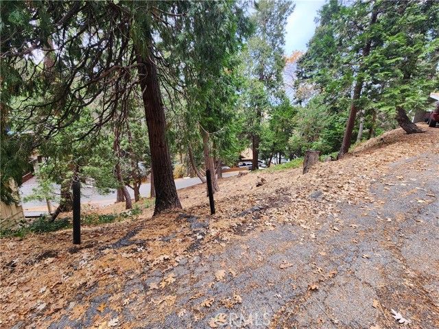 24397 Horst Drive, Crestline, CA 92325