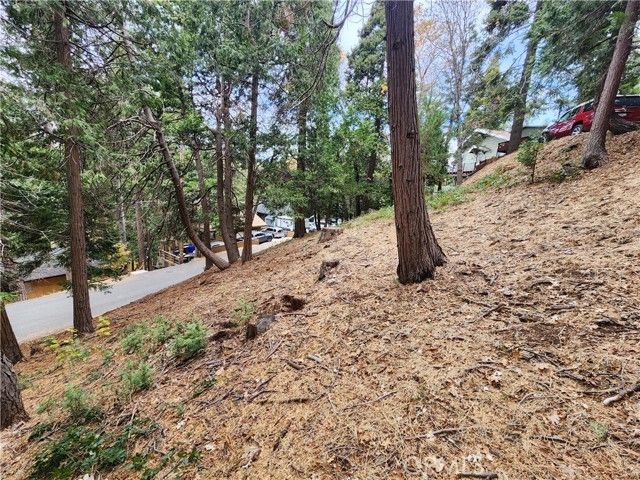 24397 Horst Drive, Crestline, CA 92325