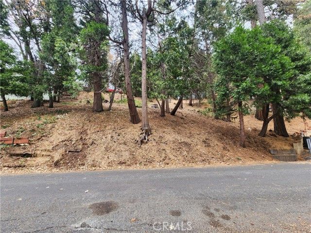 24397 Horst Drive, Crestline, CA 92325