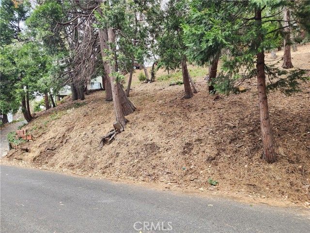 24397 Horst Drive, Crestline, CA 92325