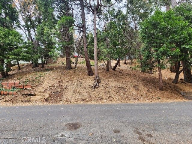 24397 Horst Drive, Crestline, CA 92325