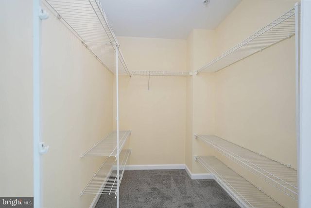 12611 SHOAL CREEK TER, Beltsville, MD 20705