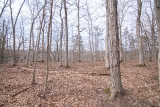 5033 Red Fox Run, Ann Arbor, MI 48105