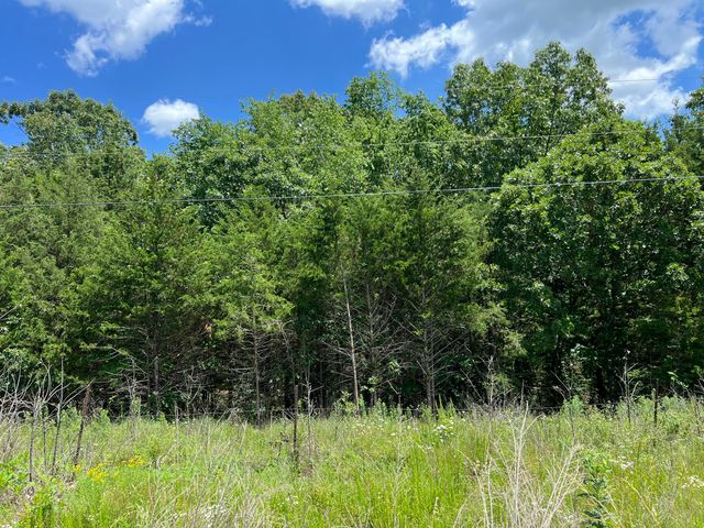 000 Gardner Hill Lane, Fordland, MO 65652