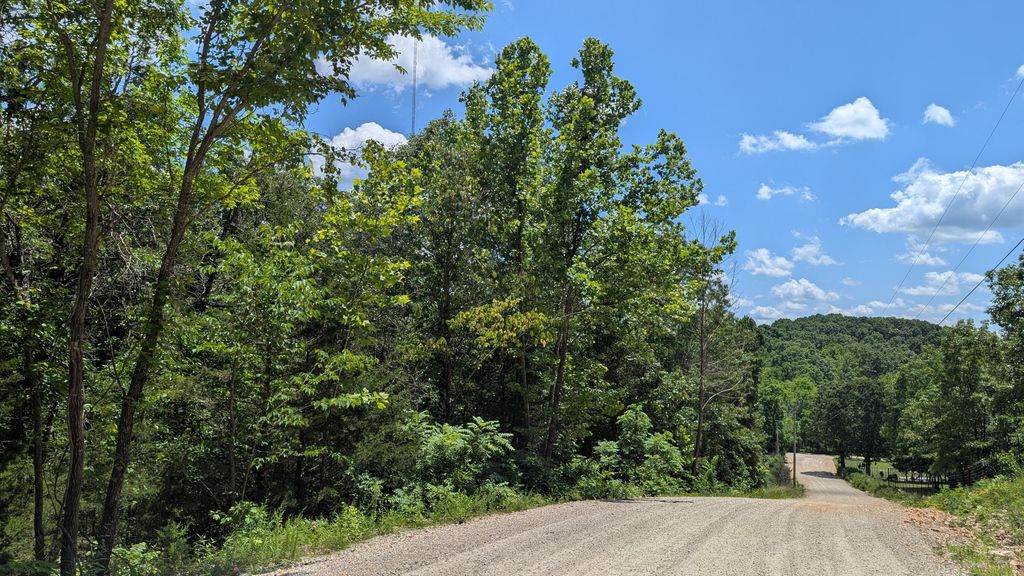 000 Gardner Hill Lane, Fordland, MO 65652