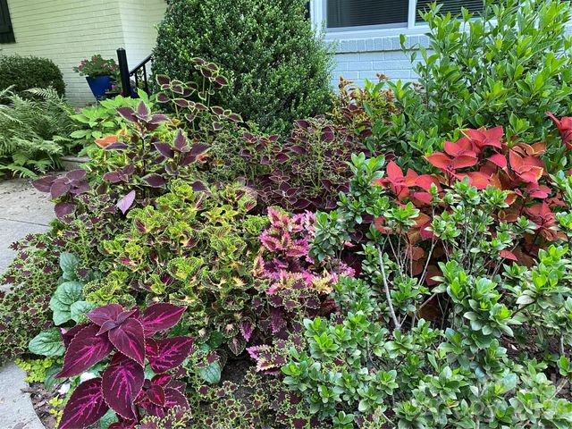 1330 Cedar Lane, Charlotte, NC 28226