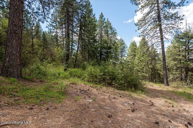 NNA N Corbin Hill Rd, Athol, ID 83801