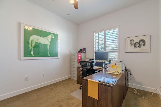 216 Skipping Cedar ST, San Marcos, TX 78666