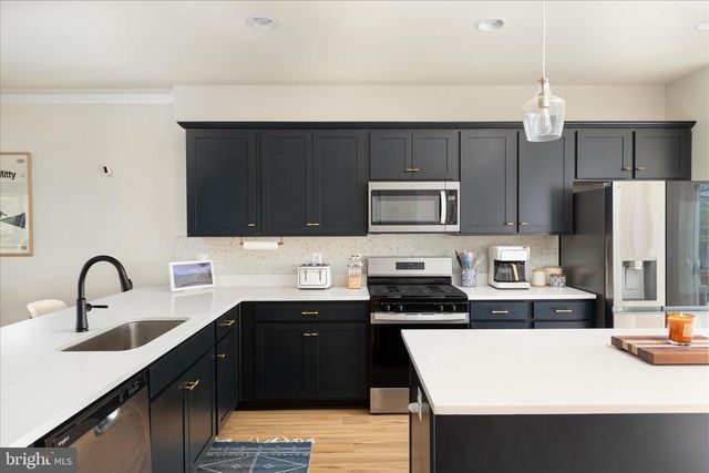 100 BAMBOO SHOOT LANE, Stephenson, VA 22656