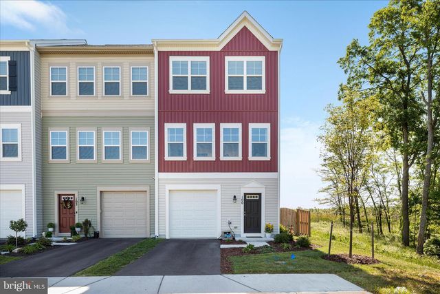 100 BAMBOO SHOOT LANE, Stephenson, VA 22656