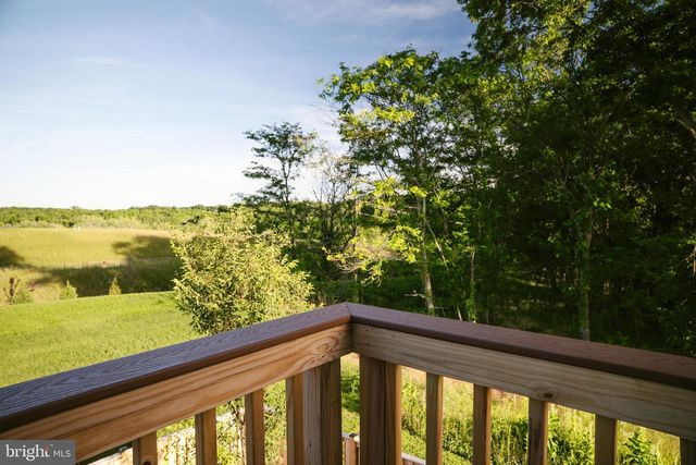 100 BAMBOO SHOOT LANE, Stephenson, VA 22656