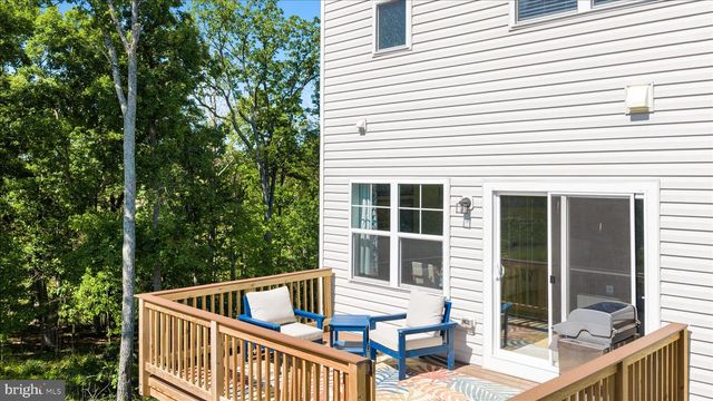 100 BAMBOO SHOOT LANE, Stephenson, VA 22656