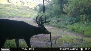 N45211 Franson Rd Roads, Strum, WI 54770