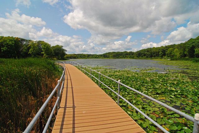 2536 N Saunders Lake Drive, Minnetrista, MN 55364