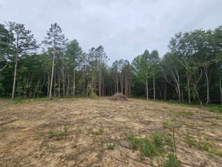 229 Windstone Drive, Tracy City, TN 37387