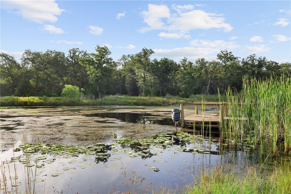 2131 County Road 278, Somerville, TX 77879 — photo 2