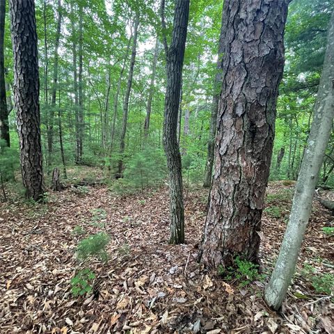 106 Red Mulberry Drive, Zirconia, NC 28790