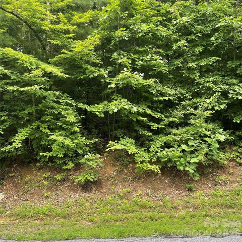 106 Red Mulberry Drive, Zirconia, NC 28790