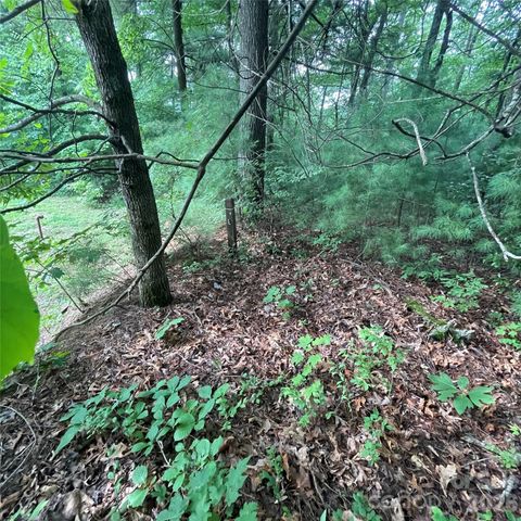 106 Red Mulberry Drive, Zirconia, NC 28790