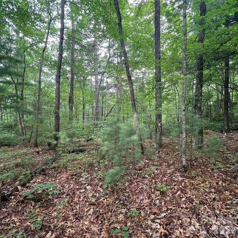 106 Red Mulberry Drive, Zirconia, NC 28790