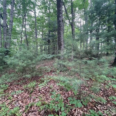 106 Red Mulberry Drive, Zirconia, NC 28790