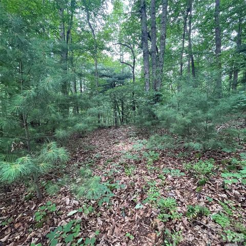 106 Red Mulberry Drive, Zirconia, NC 28790