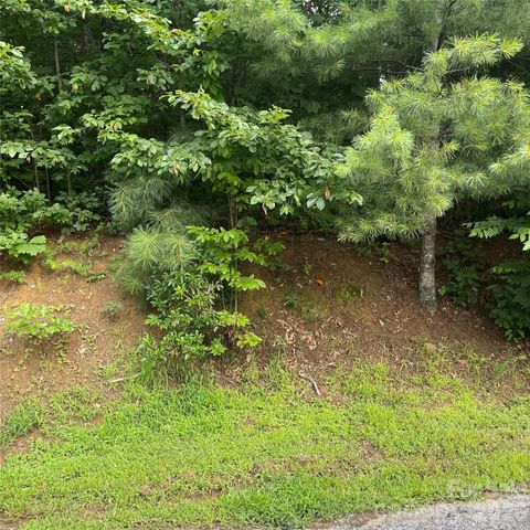 106 Red Mulberry Drive, Zirconia, NC 28790