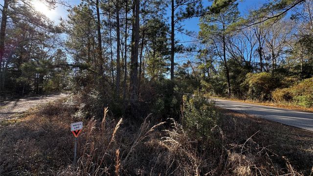 TBD Buck Lane, Hempstead, TX 77445