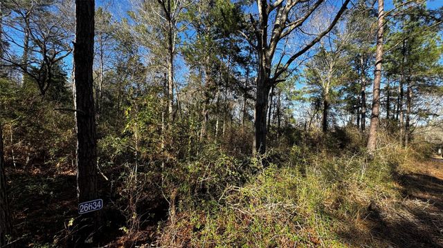 TBD Buck Lane, Hempstead, TX 77445