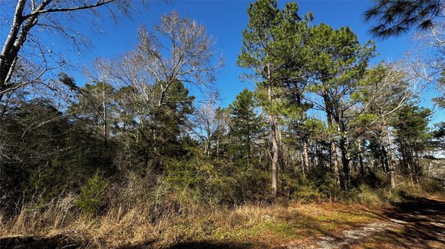 TBD Buck Lane, Hempstead, TX 77445