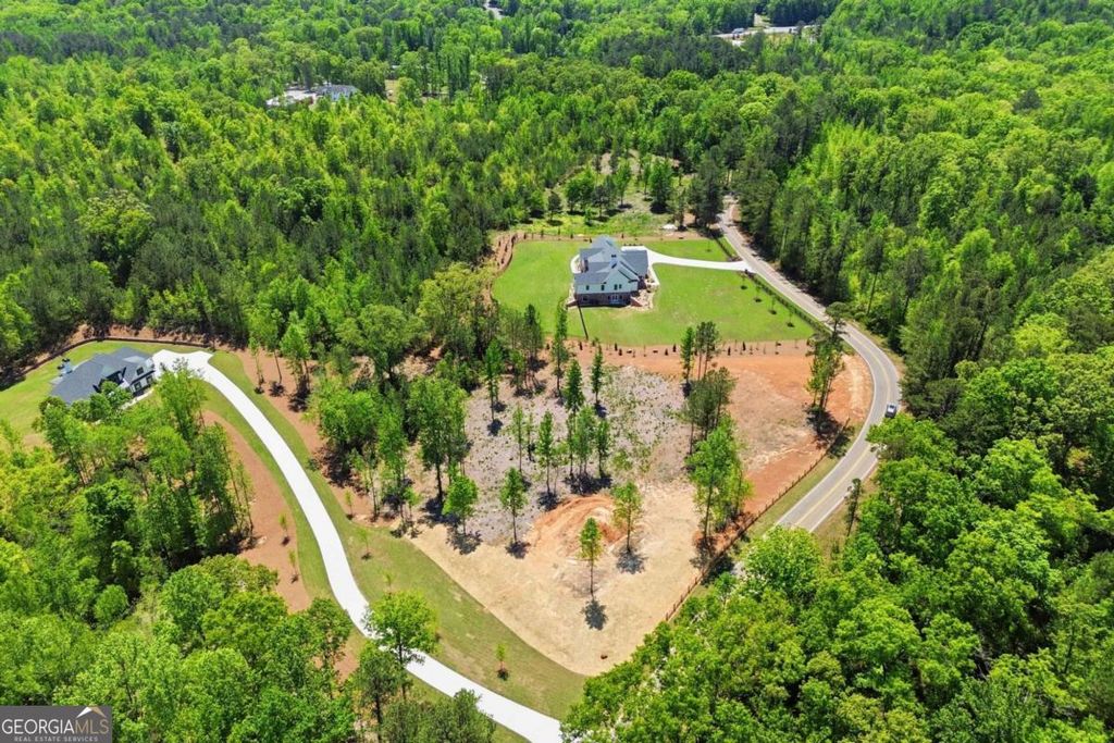 460 Mt. Olive Church Lane, Canton, GA 30114 — photo 2