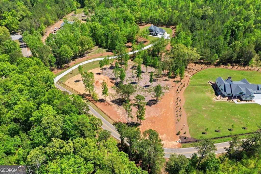 460 Mt. Olive Church Lane, Canton, GA 30114 — photo 4