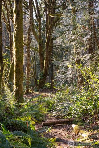 0 SE Totten Shores Drive, Shelton, WA 98584