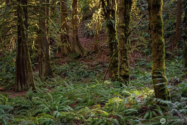 0 SE Totten Shores Drive, Shelton, WA 98584