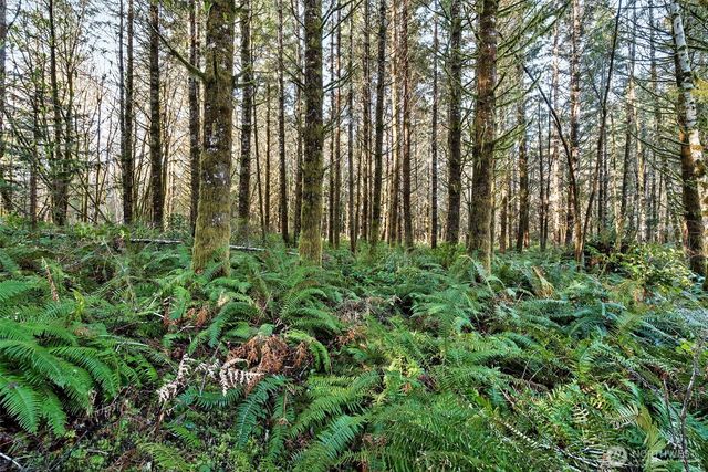 0 SE Totten Shores Drive, Shelton, WA 98584