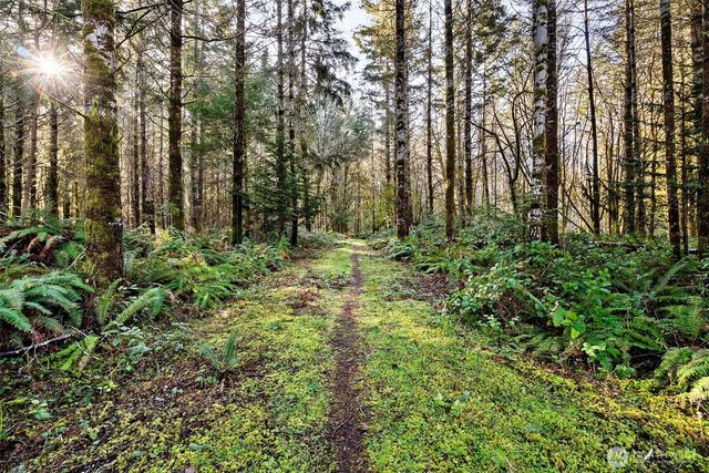 0 SE Totten Shores Drive, Shelton, WA 98584