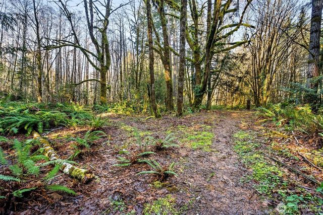 0 SE Totten Shores Drive, Shelton, WA 98584
