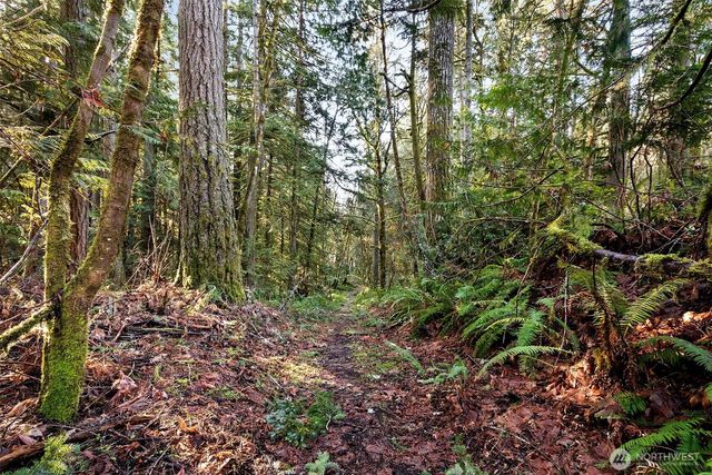 0 SE Totten Shores Drive, Shelton, WA 98584