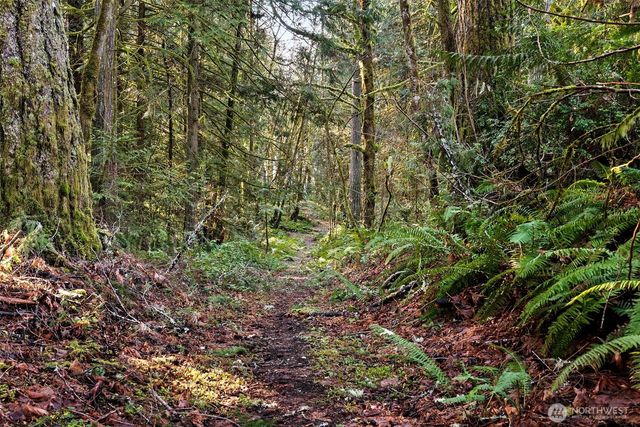 0 SE Totten Shores Drive, Shelton, WA 98584