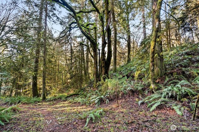 0 SE Totten Shores Drive, Shelton, WA 98584