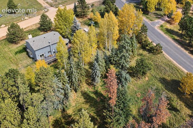 721 Sunnywood Place, Woodland Park, CO 80863