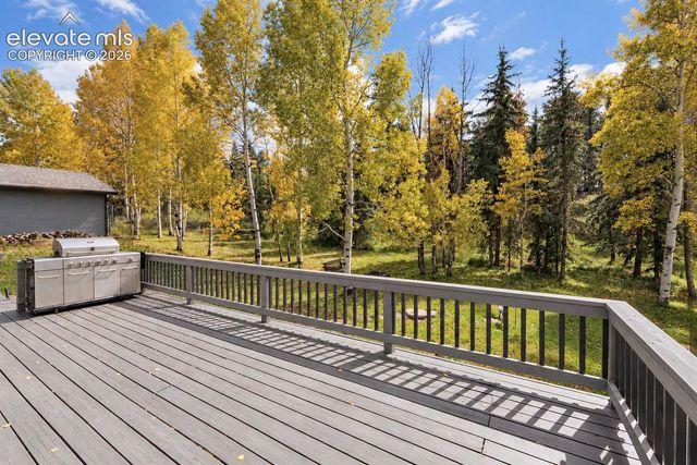 721 Sunnywood Place, Woodland Park, CO 80863