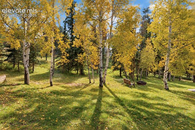 721 Sunnywood Place, Woodland Park, CO 80863